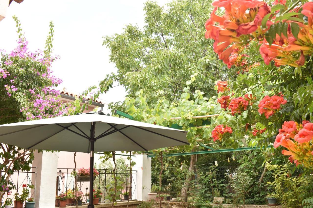 Holiday House Letizia Premantura Exterior foto